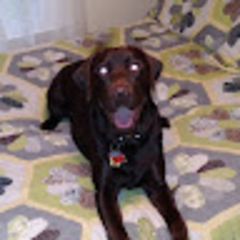 Meet your Posher, Kevin